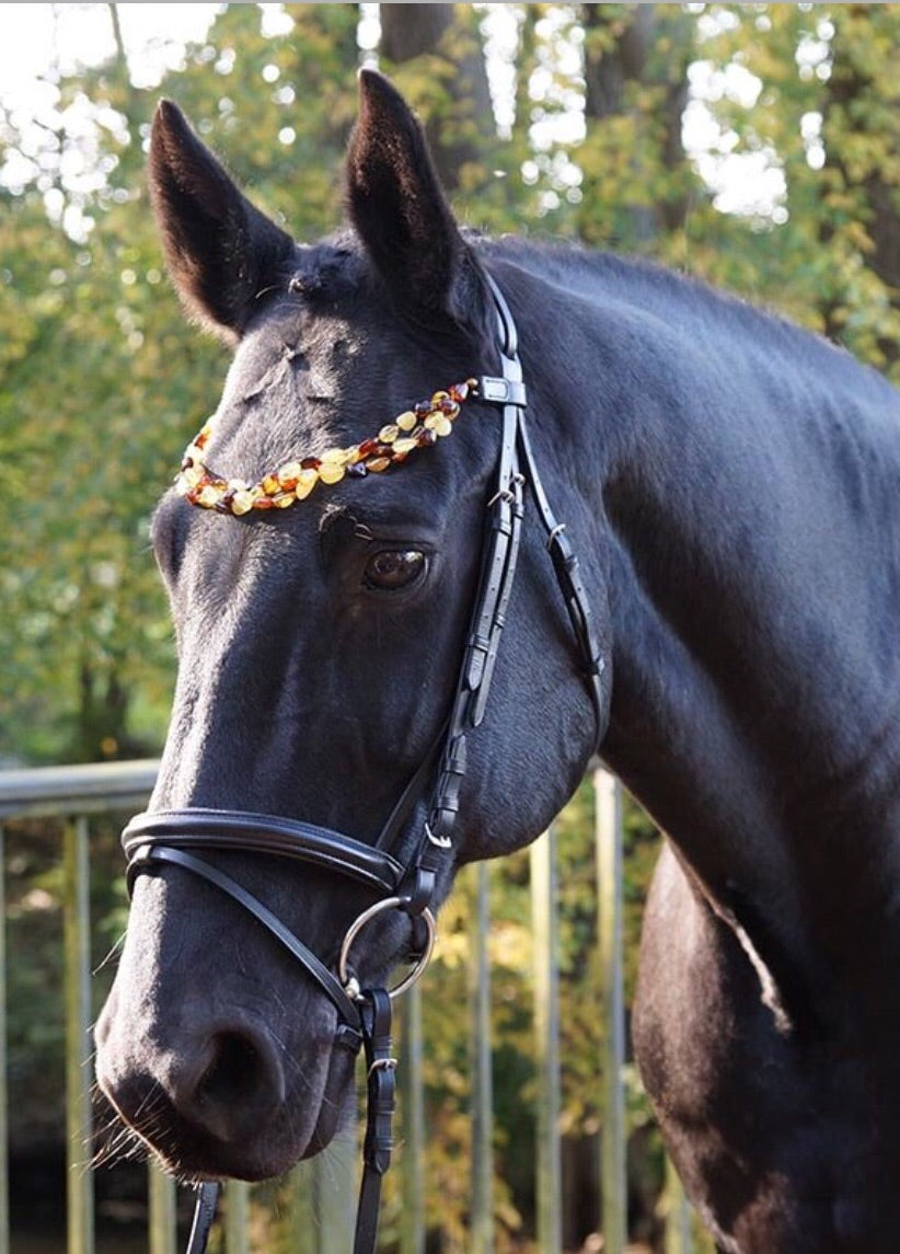 Gr Amber bridle luxury