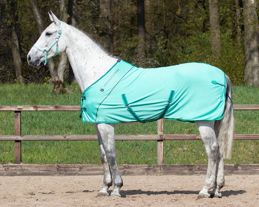 Utah cooler rug