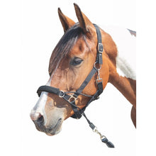 Load image into Gallery viewer, Safe control head collar

