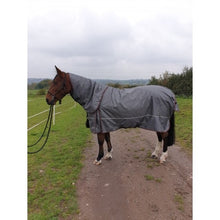 Load image into Gallery viewer, Aventus 1680 Detachable Neck Rug 200g
