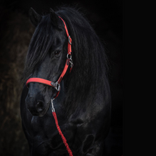 Load image into Gallery viewer, Hs Enigma head collar
