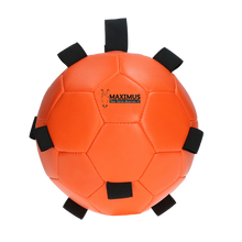 Load image into Gallery viewer, F&amp;P BALL
