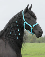 Load image into Gallery viewer, Horse jewellery
