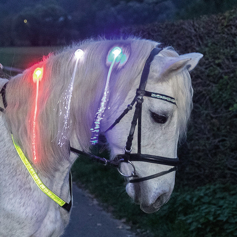 Led Mane clips