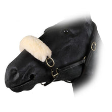 Load image into Gallery viewer, Marino wool noseband cover

