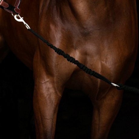 Hs Enigma lead rope