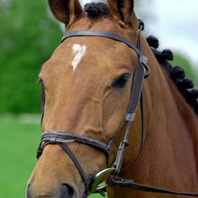 Load image into Gallery viewer, Horse blinkers
