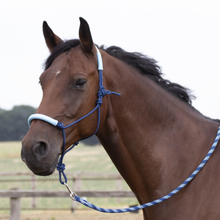 Load image into Gallery viewer, BUSSE TWO TONE HALTER AND LEAD SET
