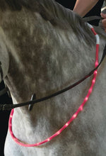 Load image into Gallery viewer, Led horse collar
