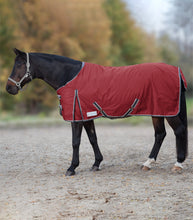 Load image into Gallery viewer, Waldhausen RR TURNOUT RUG, 100 G
