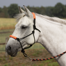 Load image into Gallery viewer, BUSSE TWO TONE HALTER AND LEAD SET
