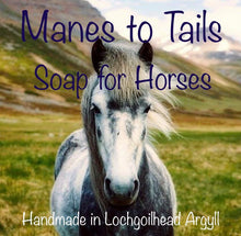 Load image into Gallery viewer, The Purple house Manes To Tails soap for horses
