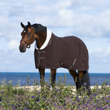 Load image into Gallery viewer, Hs Teddy deep lined fleece rug
