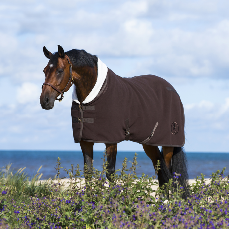 Hs Teddy deep lined fleece rug