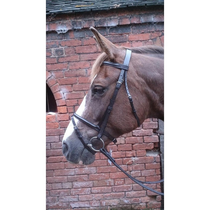 Sheldon Classic Bridles with Raised Flash Noseband & Rubber Reins