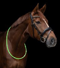 Load image into Gallery viewer, W LED NECK STRAP

