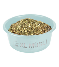 Load image into Gallery viewer, XL Musli bowl with lid
