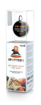 Spotted dog