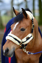 Load image into Gallery viewer, kentucky every day head collar

