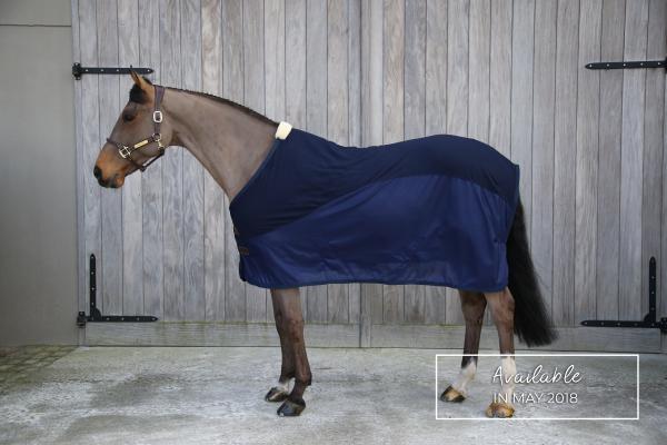 The Kentucky quick dry cooler  rug