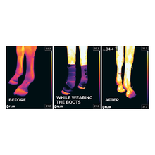 Load image into Gallery viewer, Kentucky Horsewear Magnetic Stable Boots
