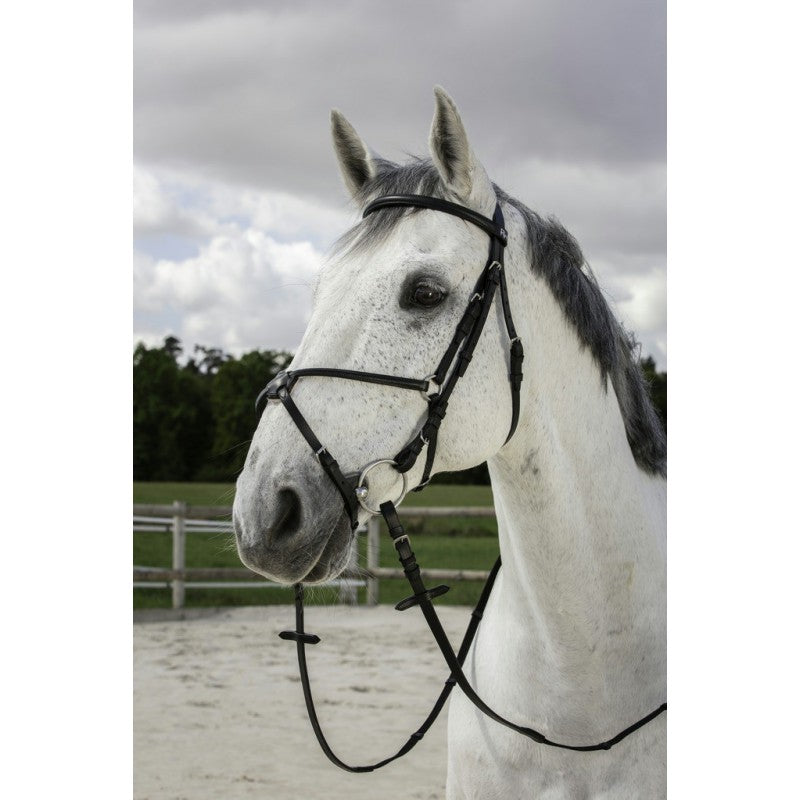 RIDING WORLD GRACKLE BRIDLE