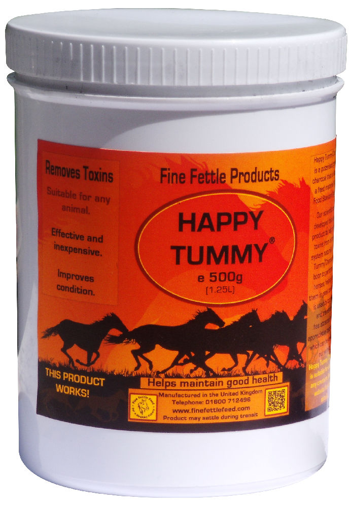 fine fettle feeds happy tummy