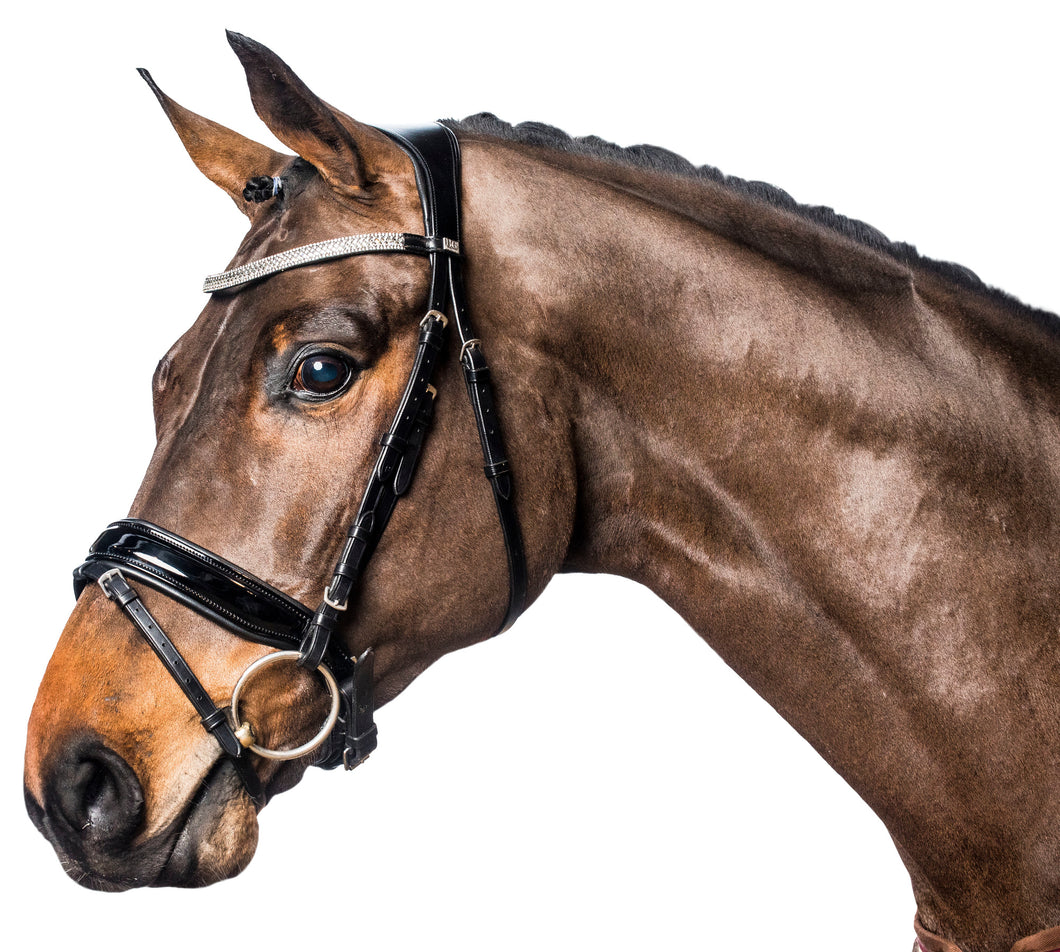 Anatomic Ergo trens bridle with crystals
